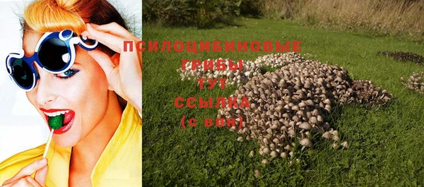 apvp Абинск
