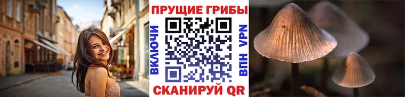 Галлюциногенные грибы Cubensis  Кашира 